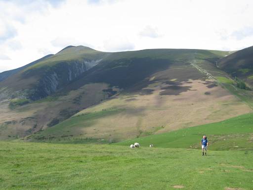 15_12-1.JPG - Looking back to Skiddaw from Latrigg